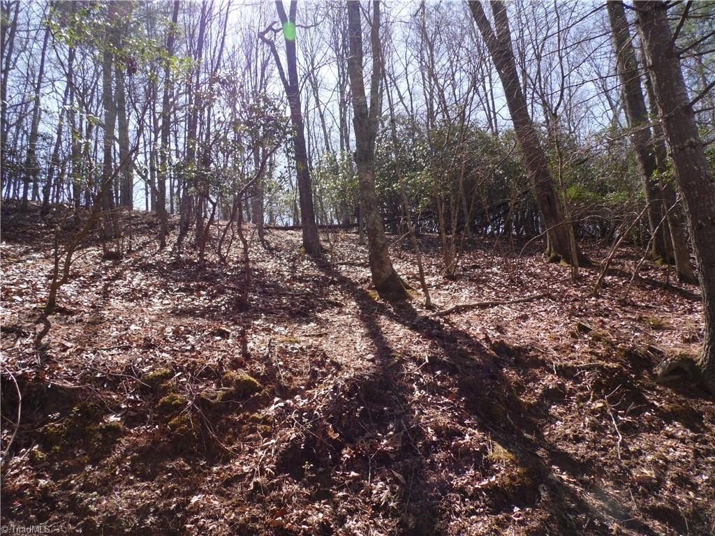 Picture 3