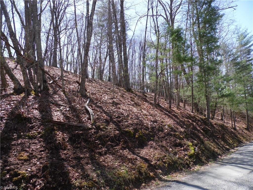 Oversized Lot Near New River