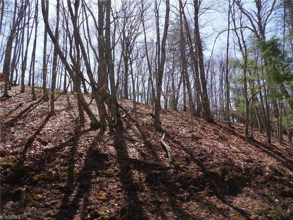 Picture 13