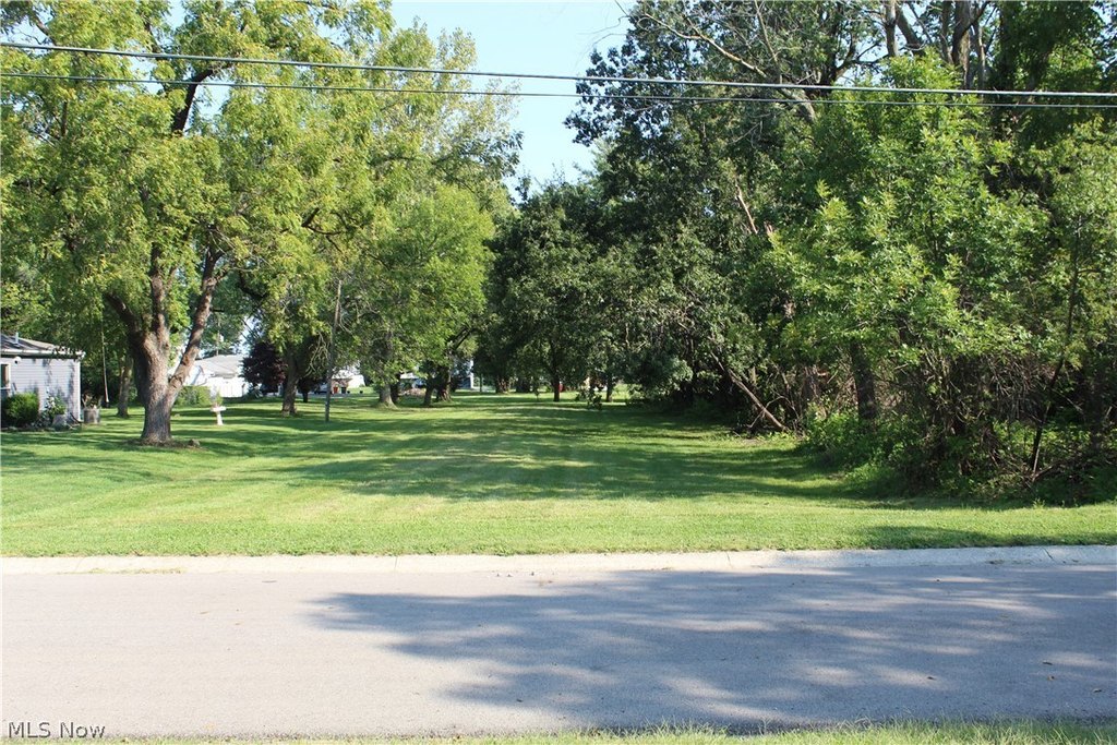 Picture 17