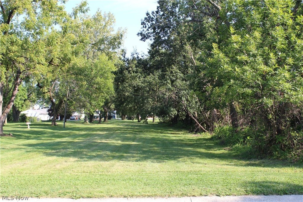 Picture 2
