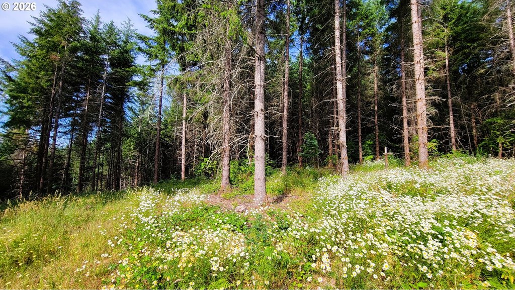 Picture 9