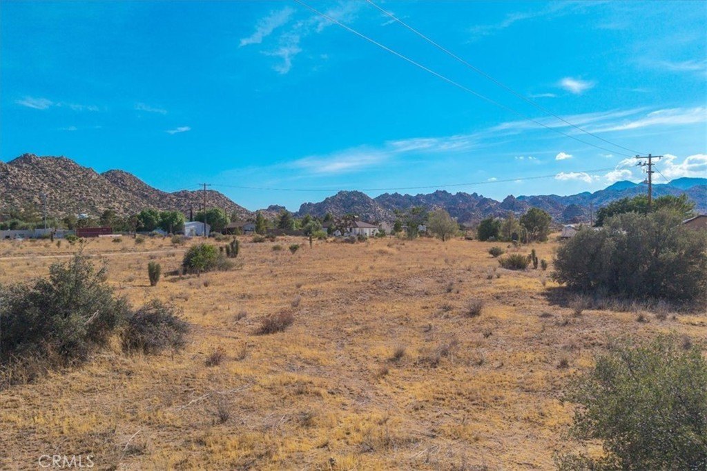 Picture 25