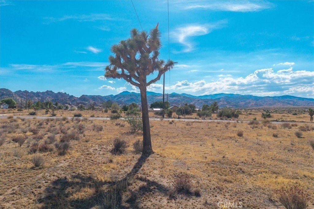 Picture 8