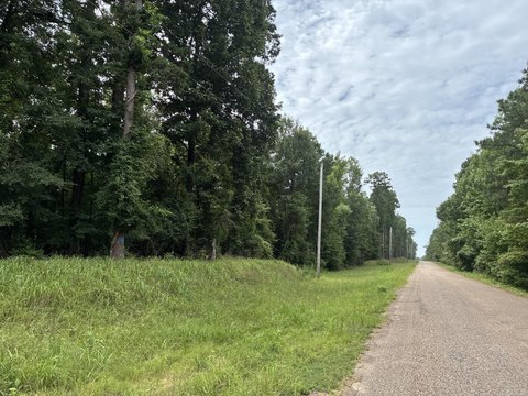 LAND - Louann, AR