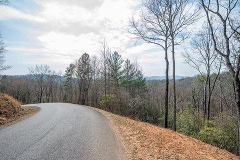 Ellijay GA Vacant Mountain Lot