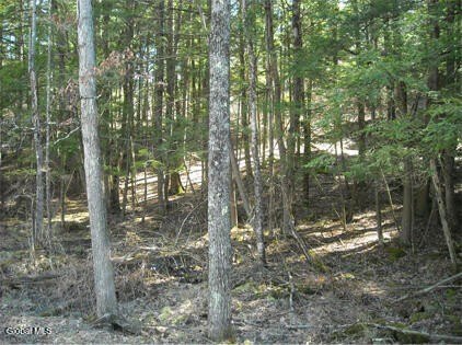 21 Acres Land in Johnsonville