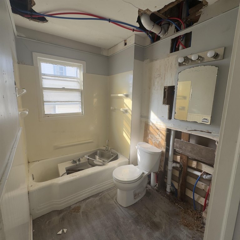 Picture 7