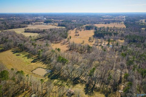 124 Acres Land in Moulton