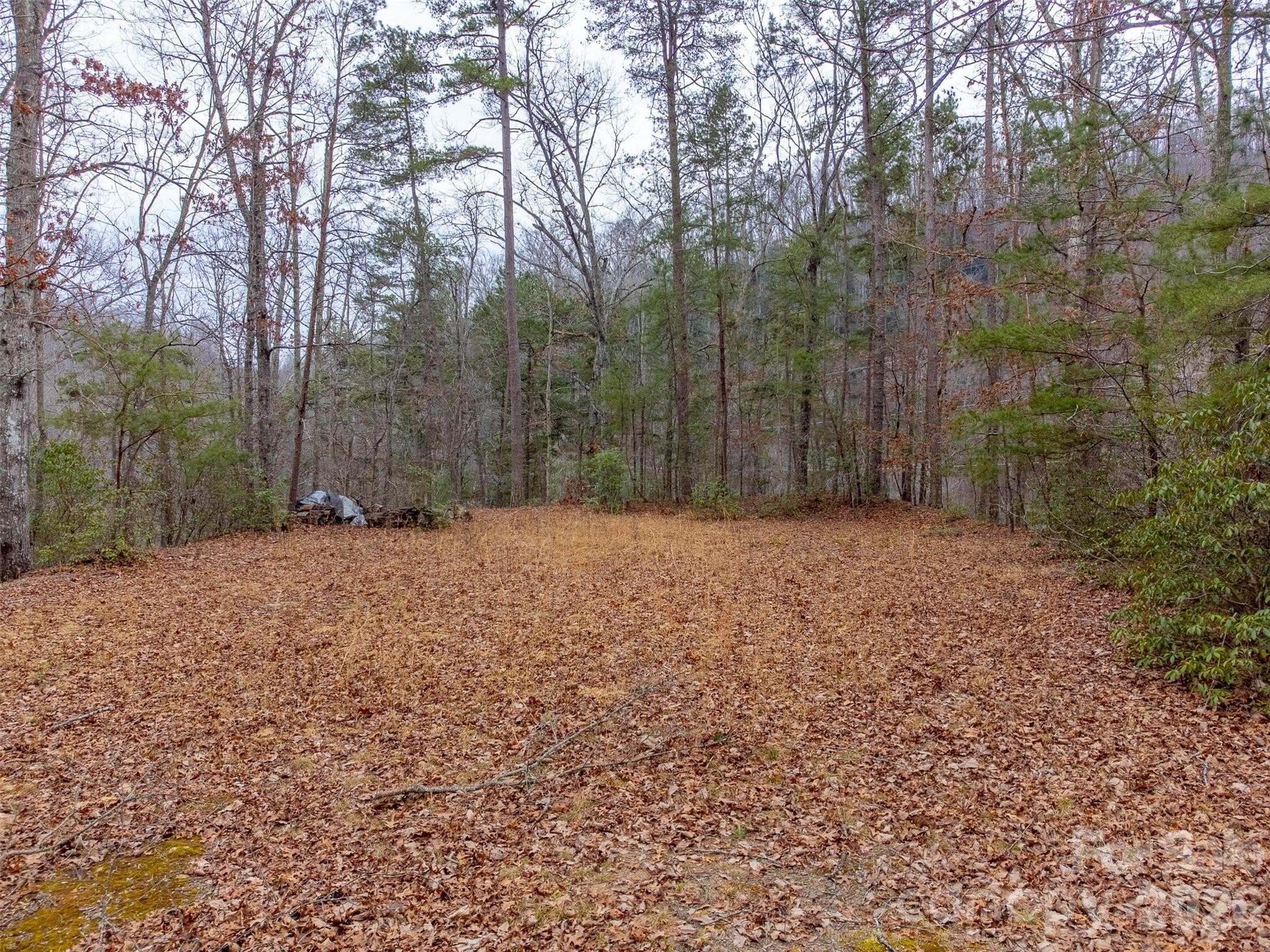Whittier Land with River Views