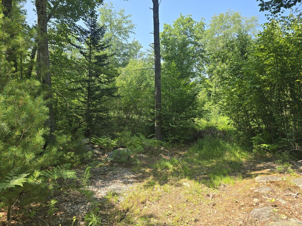 Picture 10