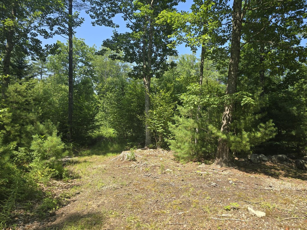 Picture 9
