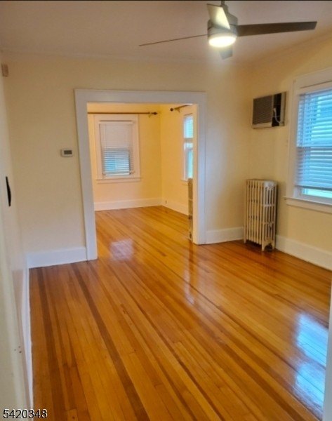 Picture 3