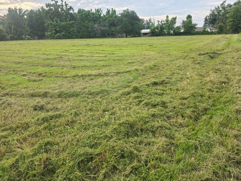Vacant Land - Epps, LA