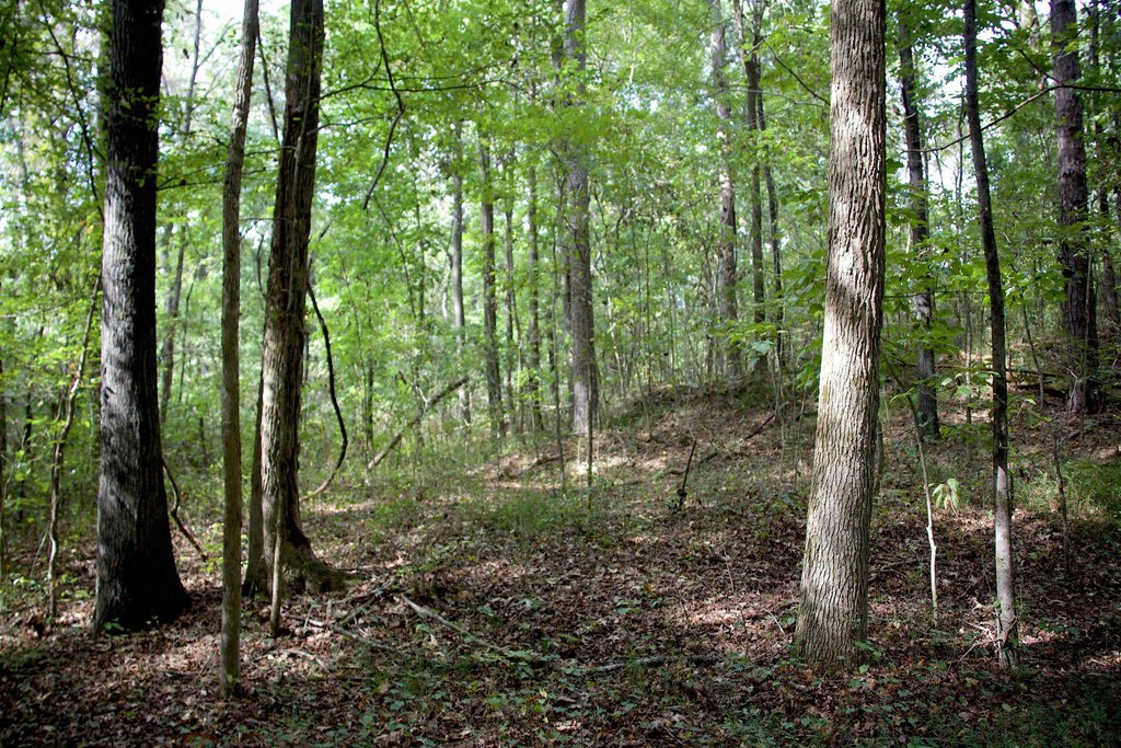 Picture 7