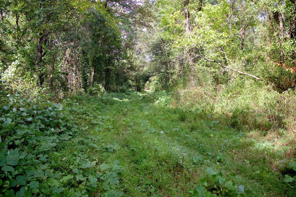 Picture 12