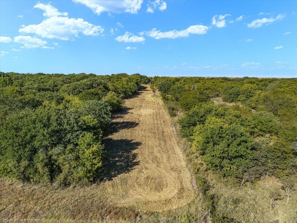 Picture 33