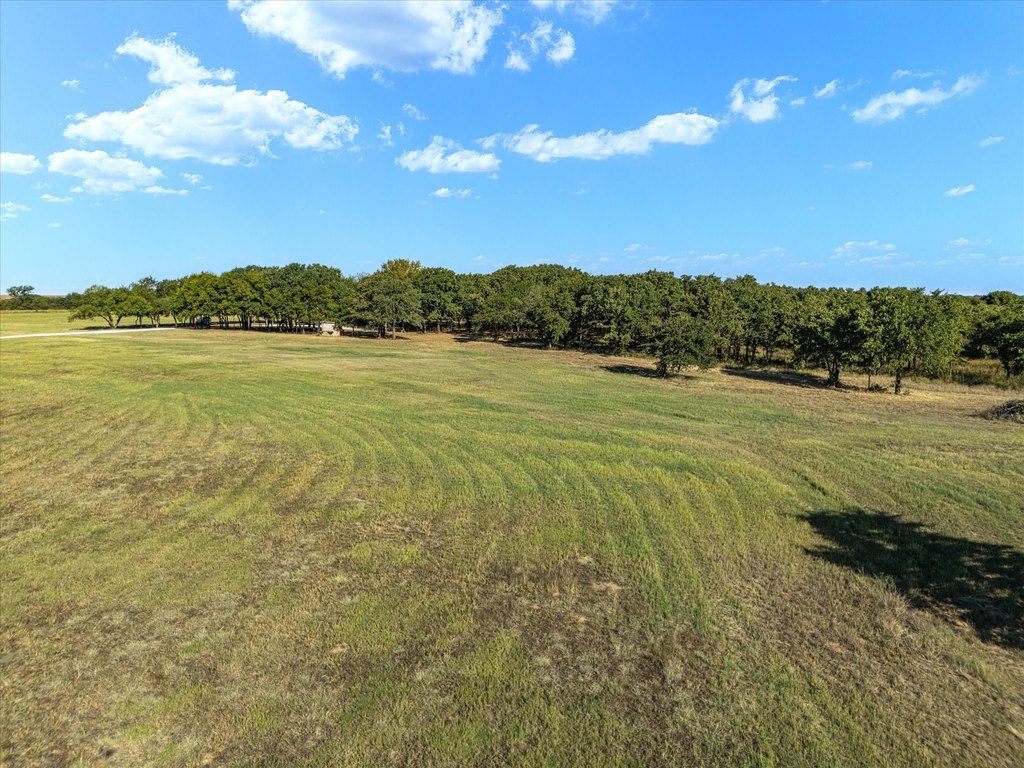 Picture 25