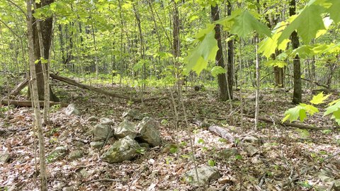 Unrestricted Land in Dandridge, TN