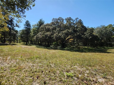 DeLand Land for Rural Living