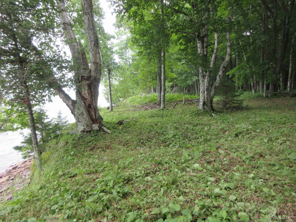 Picture 13
