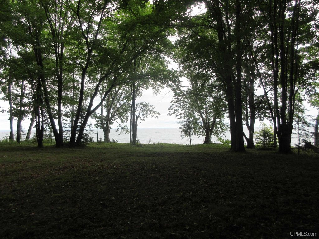 Picture 29