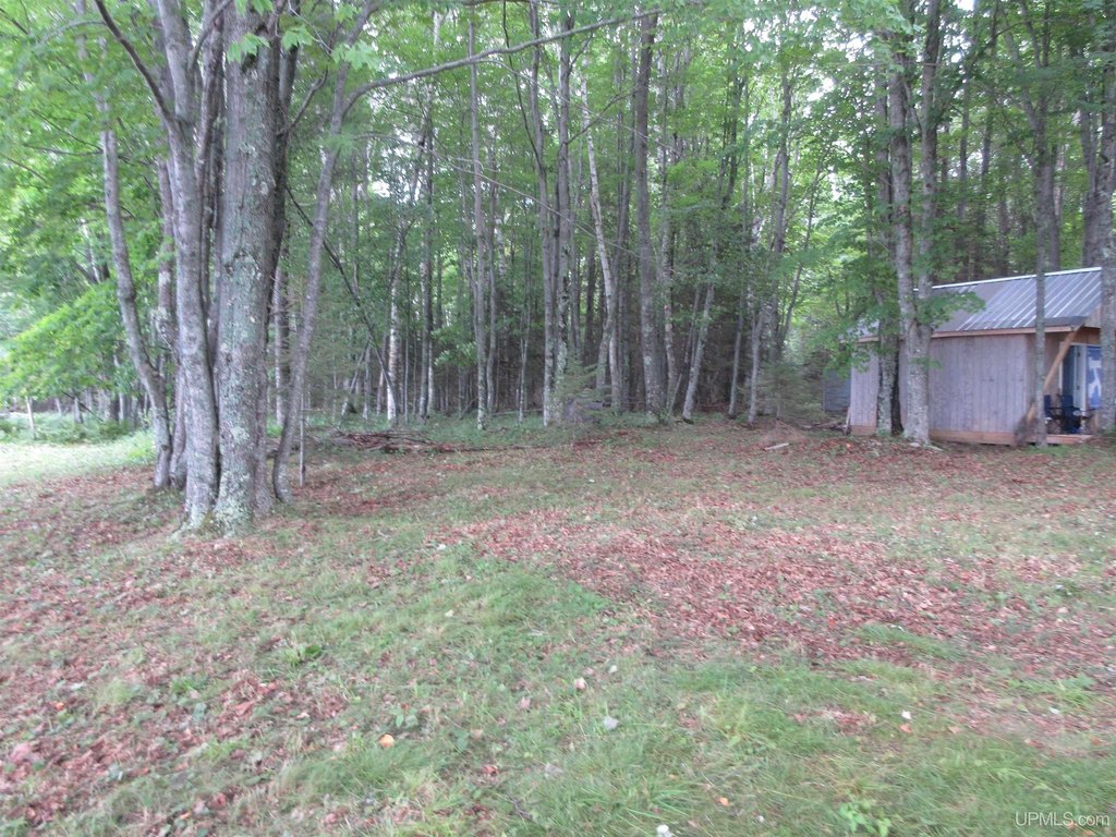 Picture 16