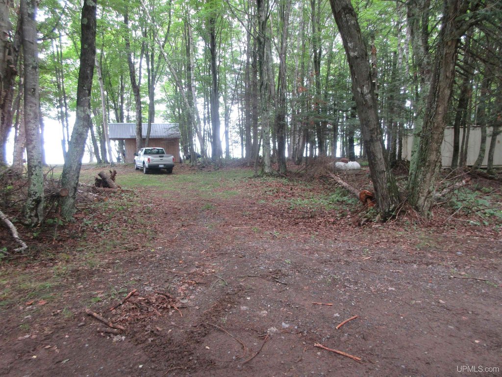 Picture 27