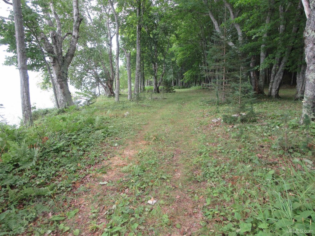 Picture 14