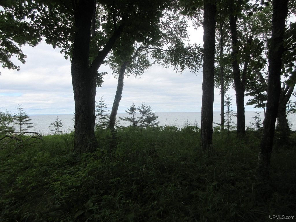 Picture 31