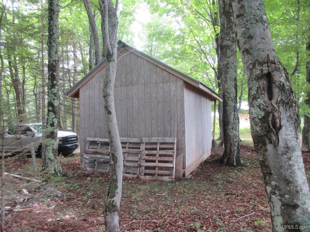 Picture 21