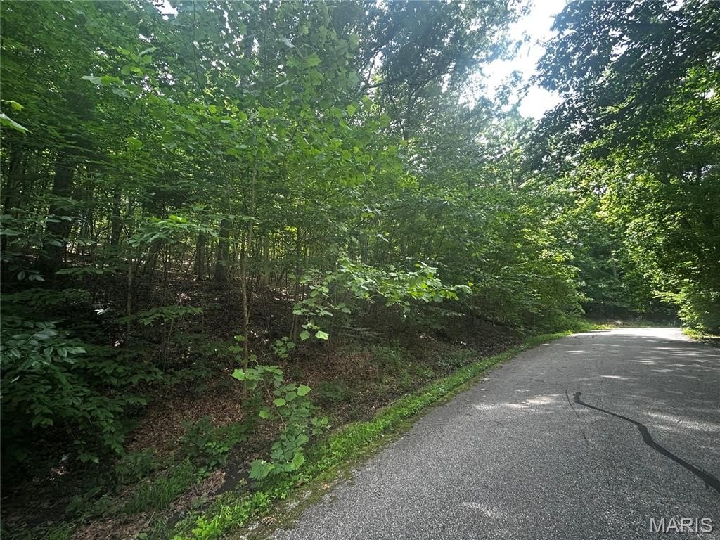 Picture 6