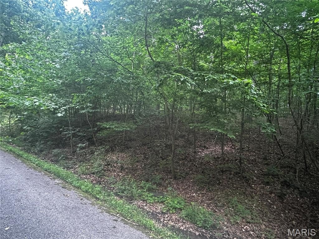 Picture 13