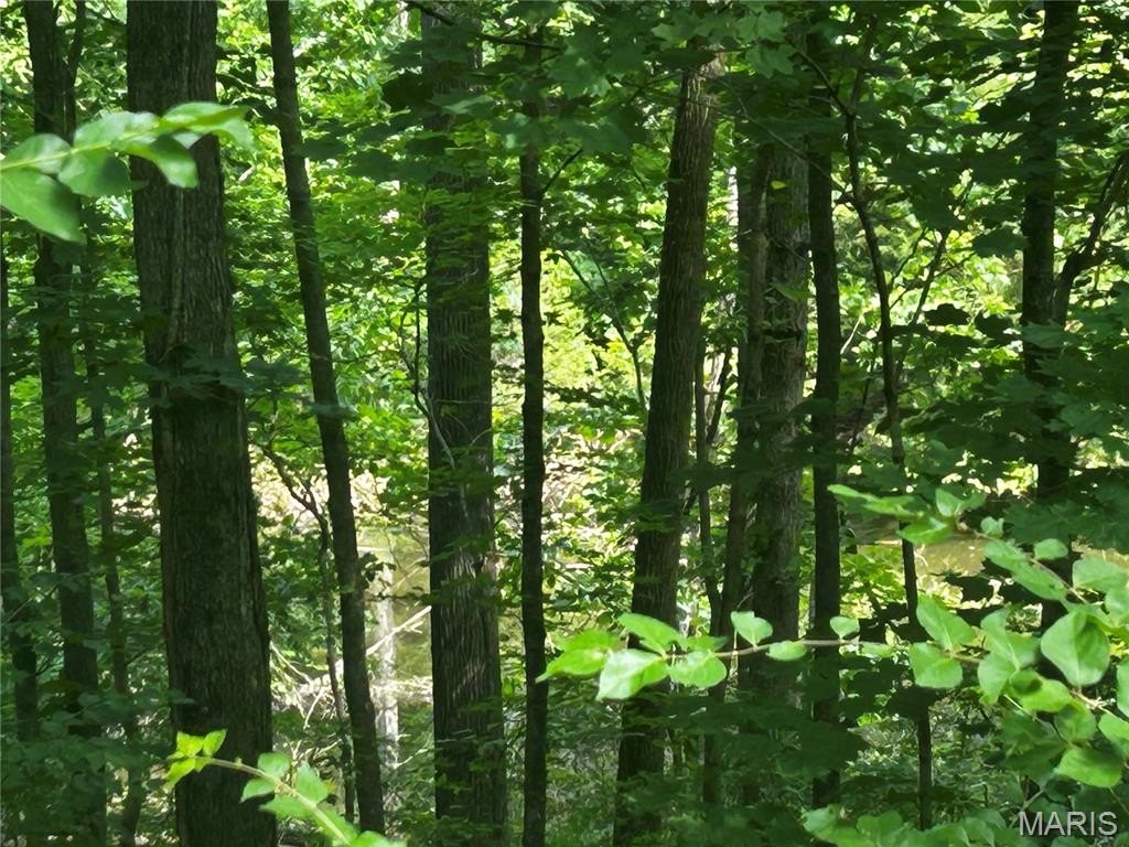 Picture 8