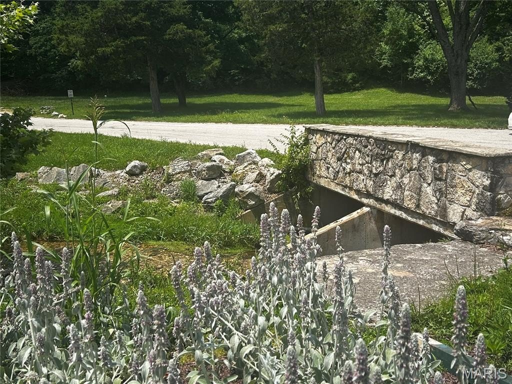 Picture 3
