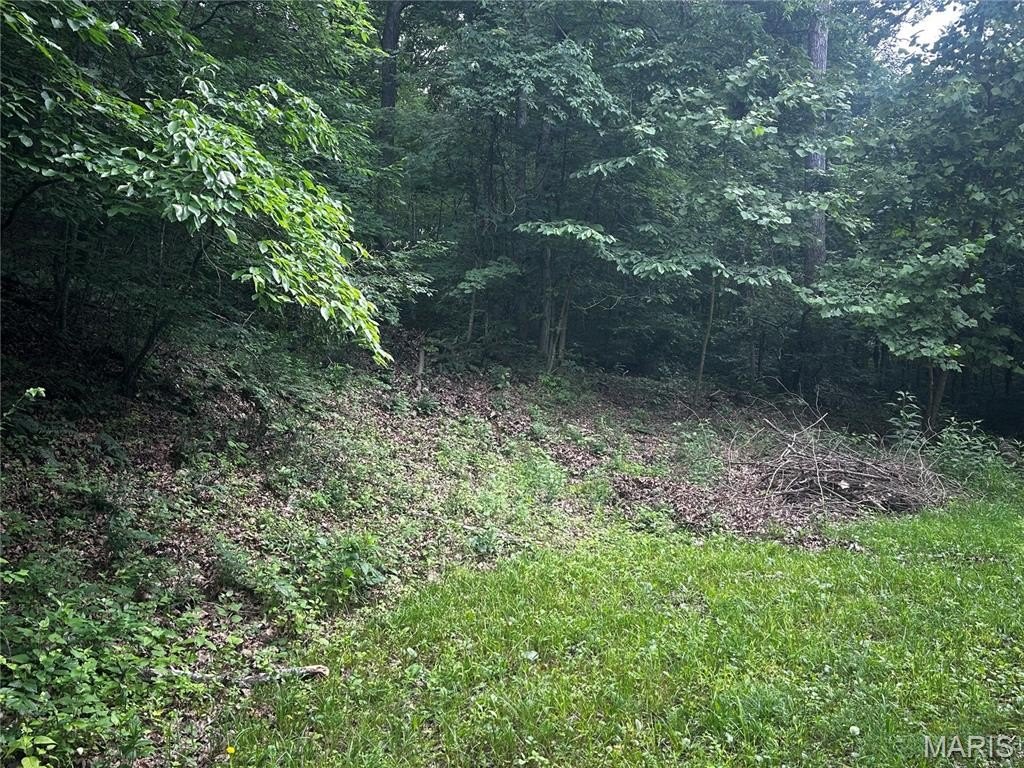 Picture 12