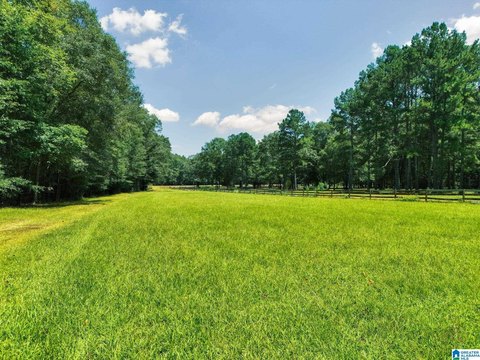 LAND/LOTS, CHELSEA, AL