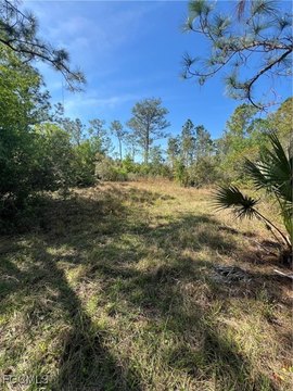 Punta Gorda Land Parcel