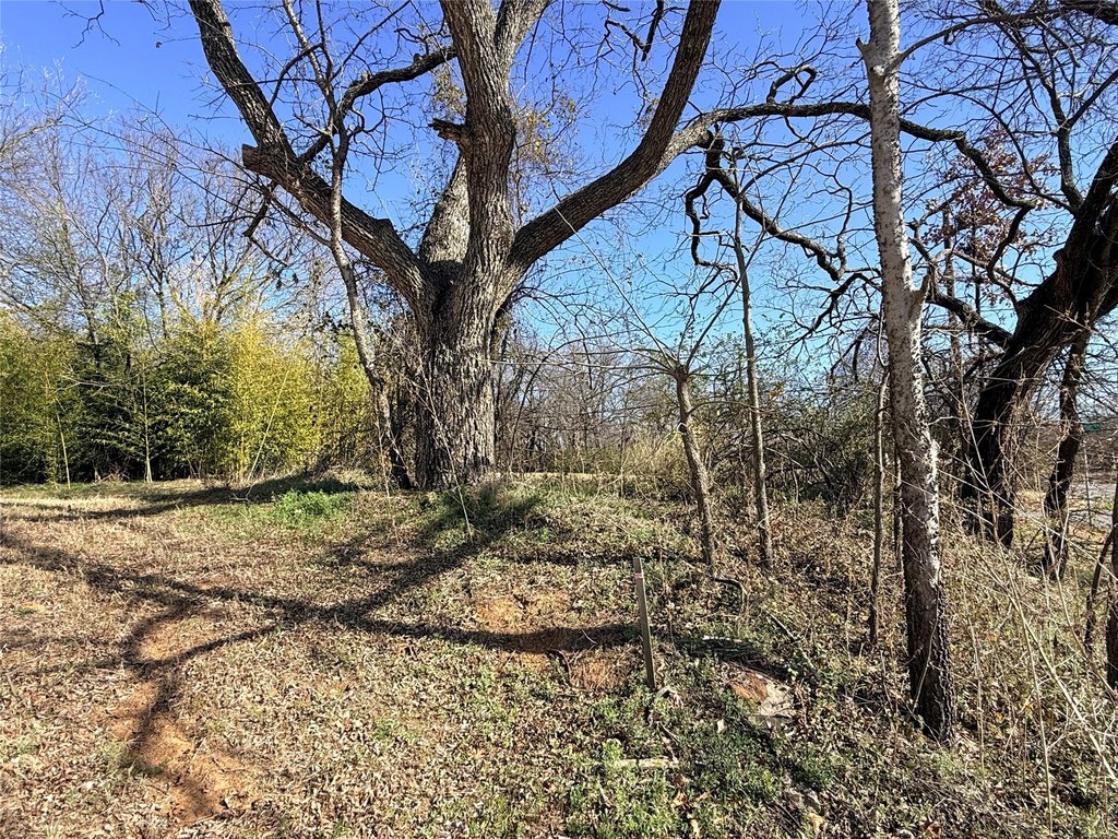 Picture 6