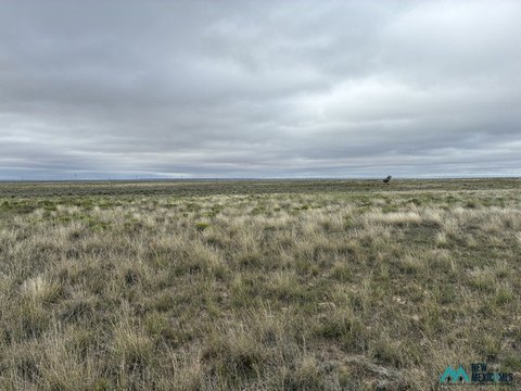 Land, Melrose, NM