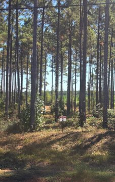 Semi-Restricted Residential Development Lots