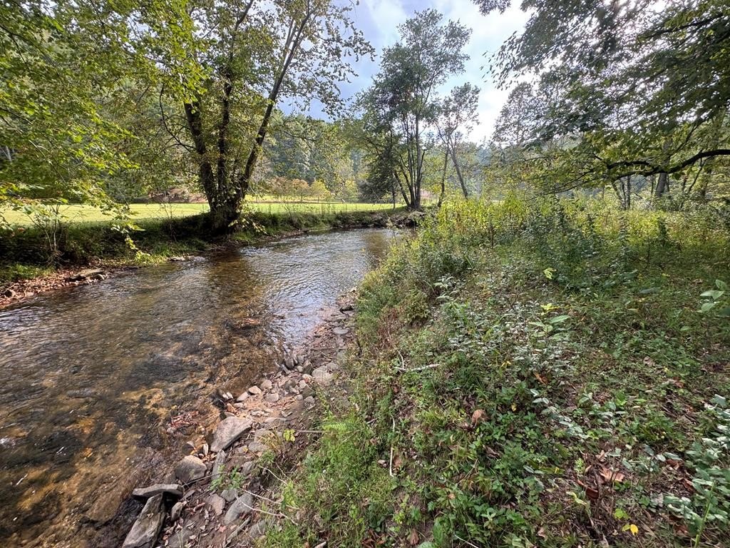 Creek Front Lot in Suches