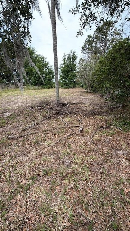 Picture 5