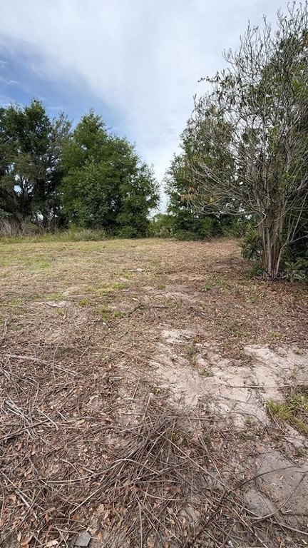 Picture 7