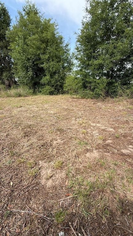 Picture 8