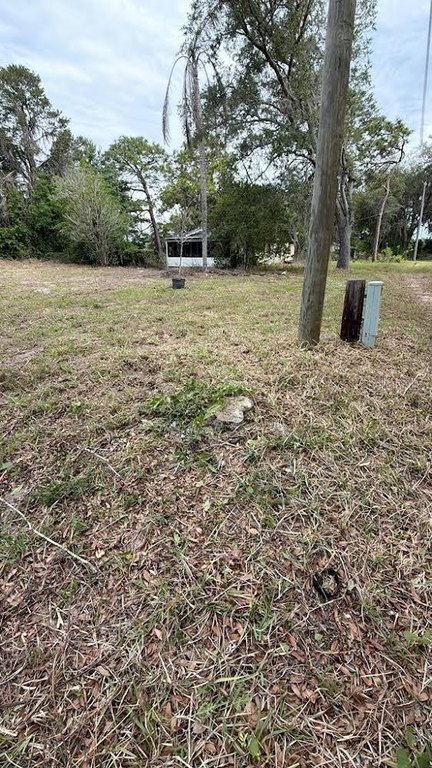 Picture 4