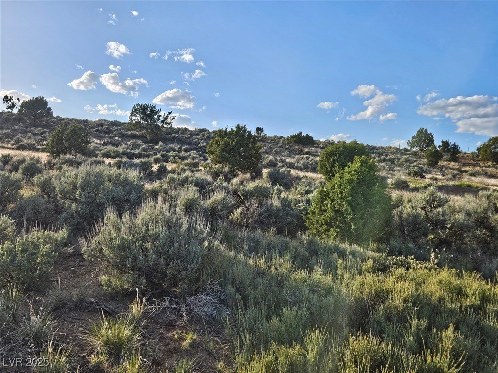Land with Mountain Views