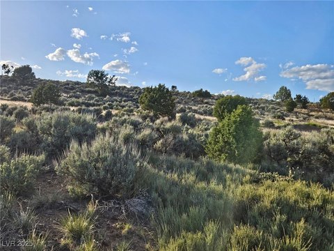 Land with Mountain Views