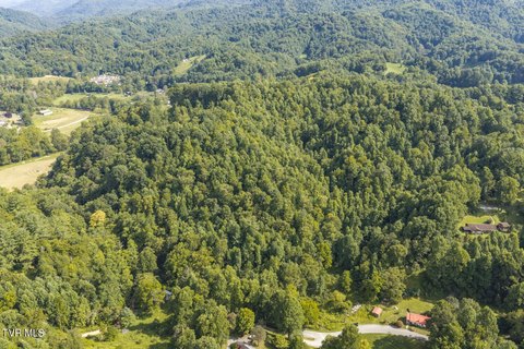 Land, Roan Mountain, TN