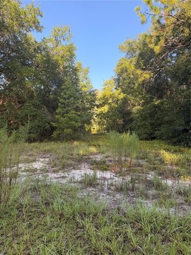 Land, MELROSE, FL